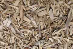 biomass boilers Leavening
